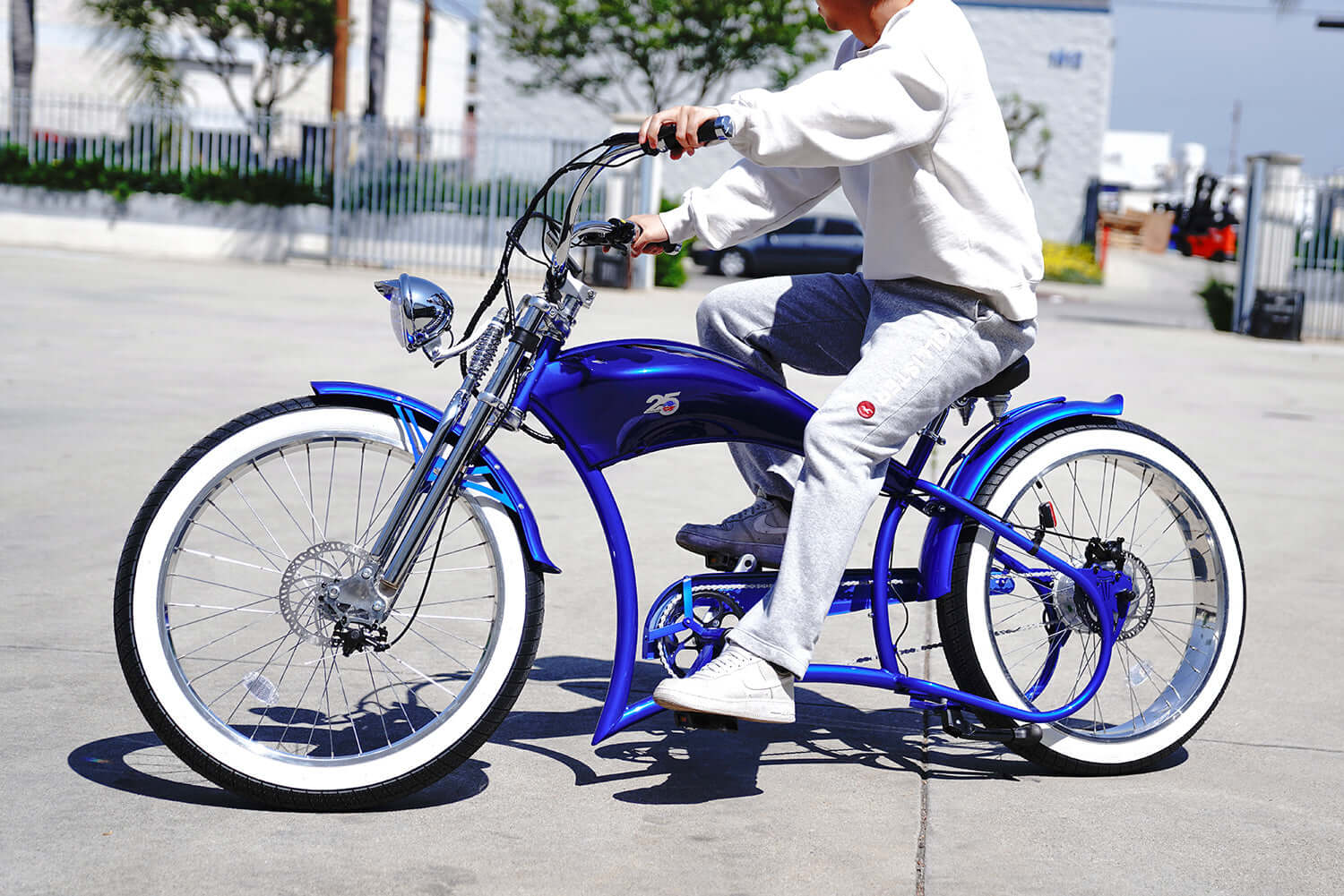 Chopper Cruiser E-bike Speed Explained: from Technology to Law Chopper Cruiser E-bike Speed Explained: from Technology to Law