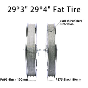 Tracer WH-TH9529140C-CP 29"*3" 29"*4" Mirror Chrome Bike Wheel Set with Coaster Brake Tracer Bikes