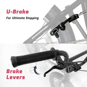 Tracer Edge Freestyle beginner/Professional BMX Bike