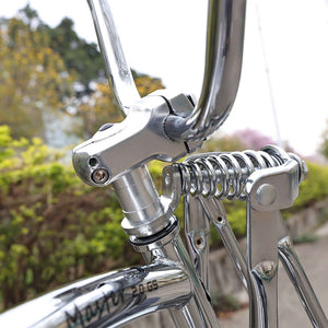 Master 2.0 GS Chrome Stretch Cruiser Bike 20 inch