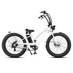 Tracer Loiter 26" 48V 800W Cruiser E-Bike Tracer Bikes