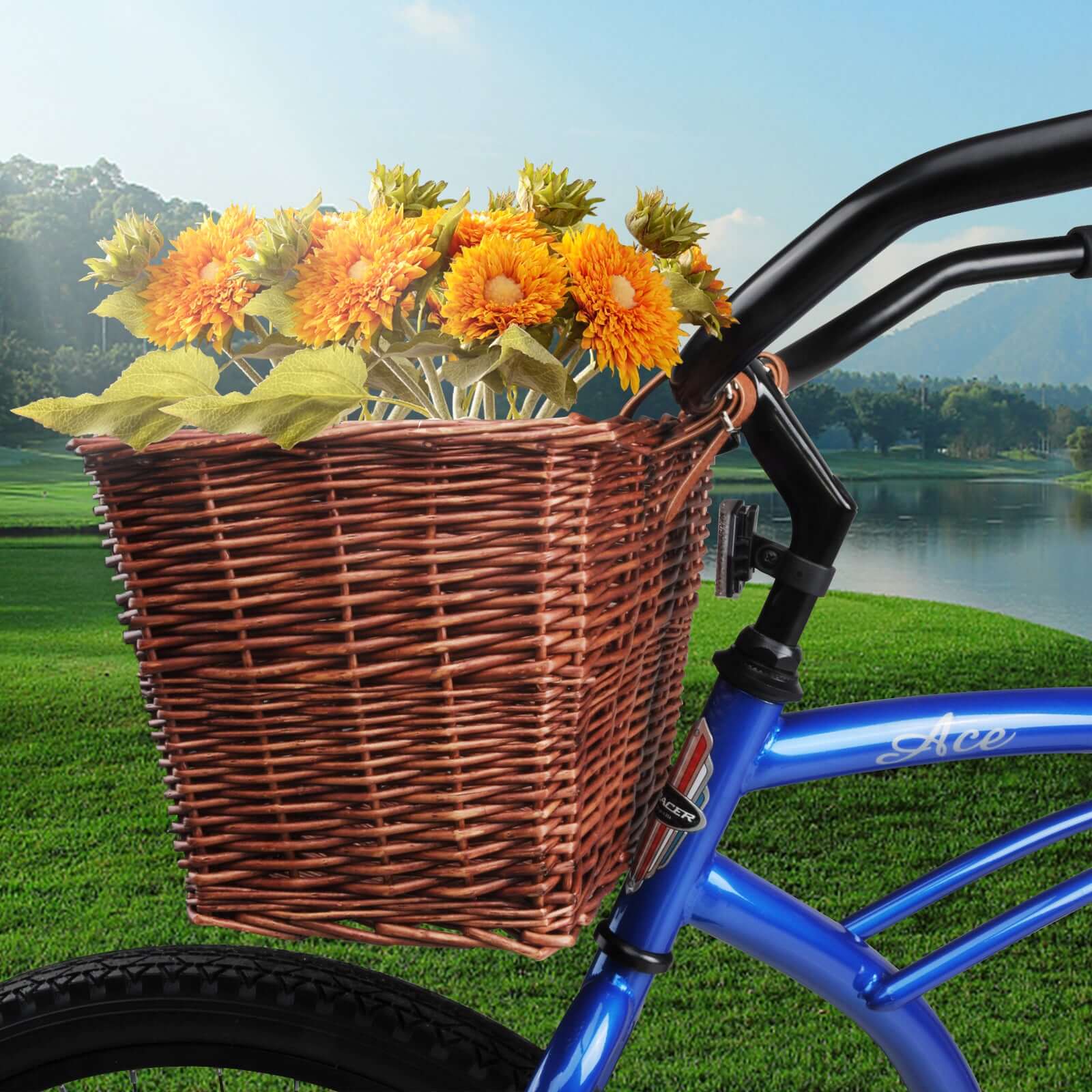 Tracer BS-GQ-ZT008-3 Bicycle Basket front