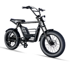 Tracer Verge 20"X4.0 Wheel 800W Fat Electric Motorbike Tracer Bikes