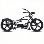 Full-body shot of the Raptor Pro DS 800W Stretch Cruiser Ebike, showing its profile.