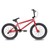 Tracer Edge Freestyle beginner/Professional BMX Bike
