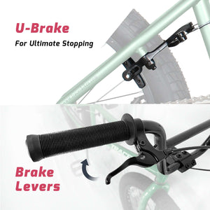 Tracer Edge Freestyle beginner/Professional BMX Bike