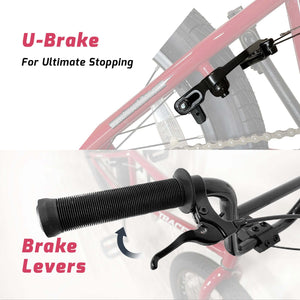 Tracer Edge Freestyle beginner/Professional BMX Bike