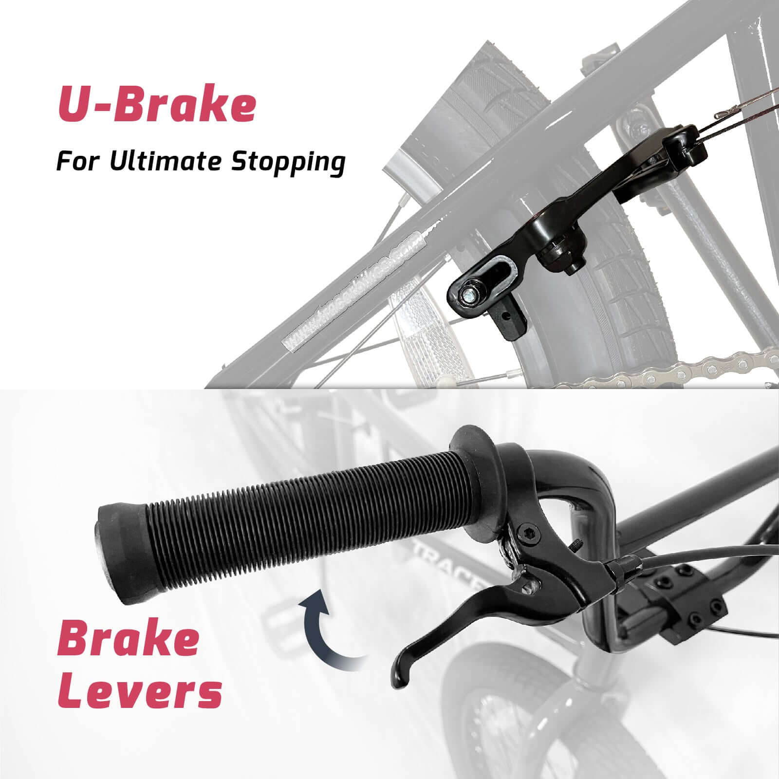 Tracer Edge Freestyle beginner/Professional BMX Bike