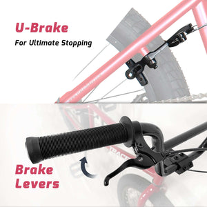 Tracer Edge Freestyle beginner/Professional BMX Bike