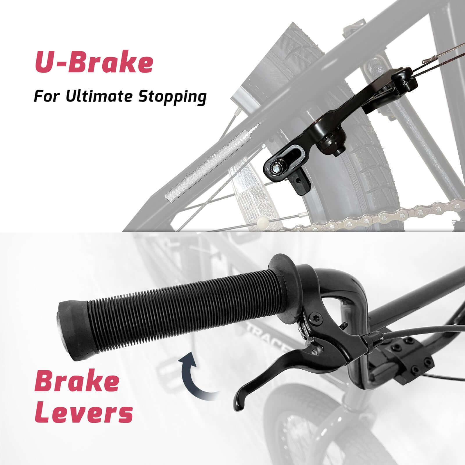 Tracer Edge Freestyle beginner/Professional BMX Bike